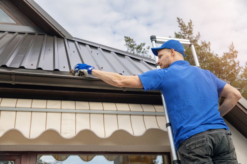 Gutter Maintenance Advice